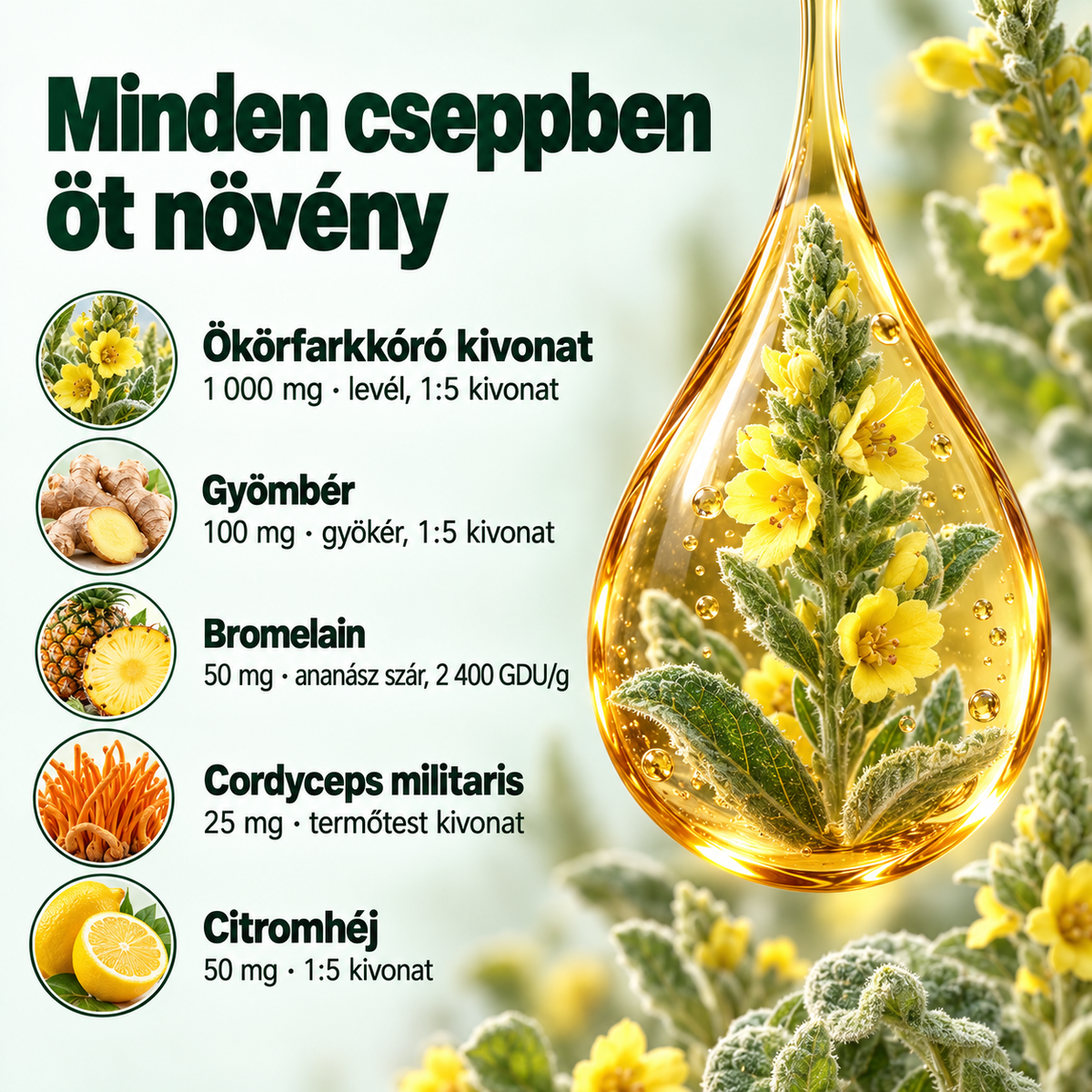 Pulmavi Labs – Ökörfarkkóró cseppek